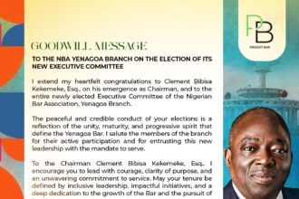 AARE OLUMUYIWA AKINBORO, SAN, CONGRATULATES NEWLY ELECTED NBA YENAGOA EXECUTIVE COMMITTEE